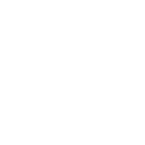 Adult Swim