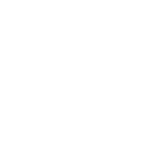 RECORD NEWS