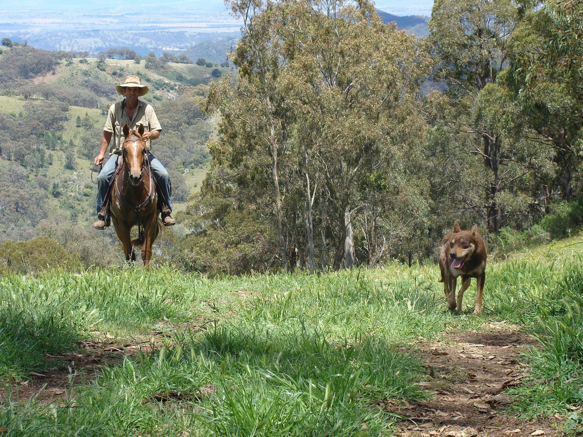 Jackaroo and Jillaroo School in the Australian Outback Australia
