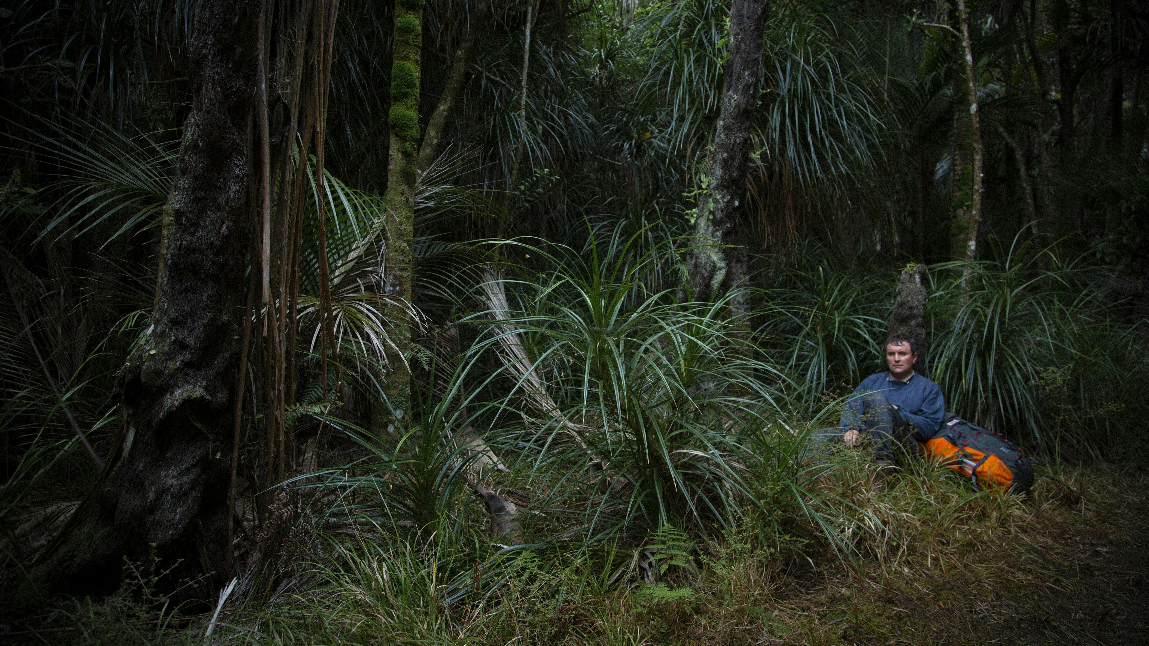 Loop Track: Mistério na Floresta backdrop