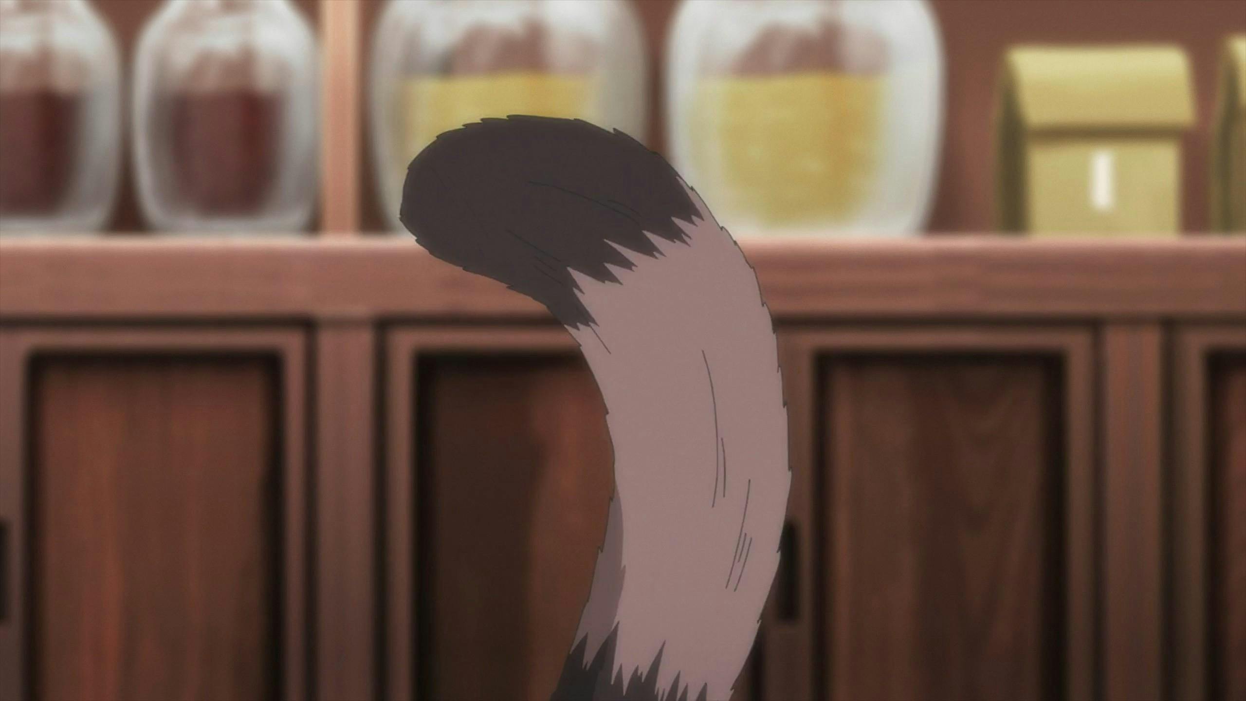 Mori no Kuma-san, Toumin-chuu. - episódio 1x8