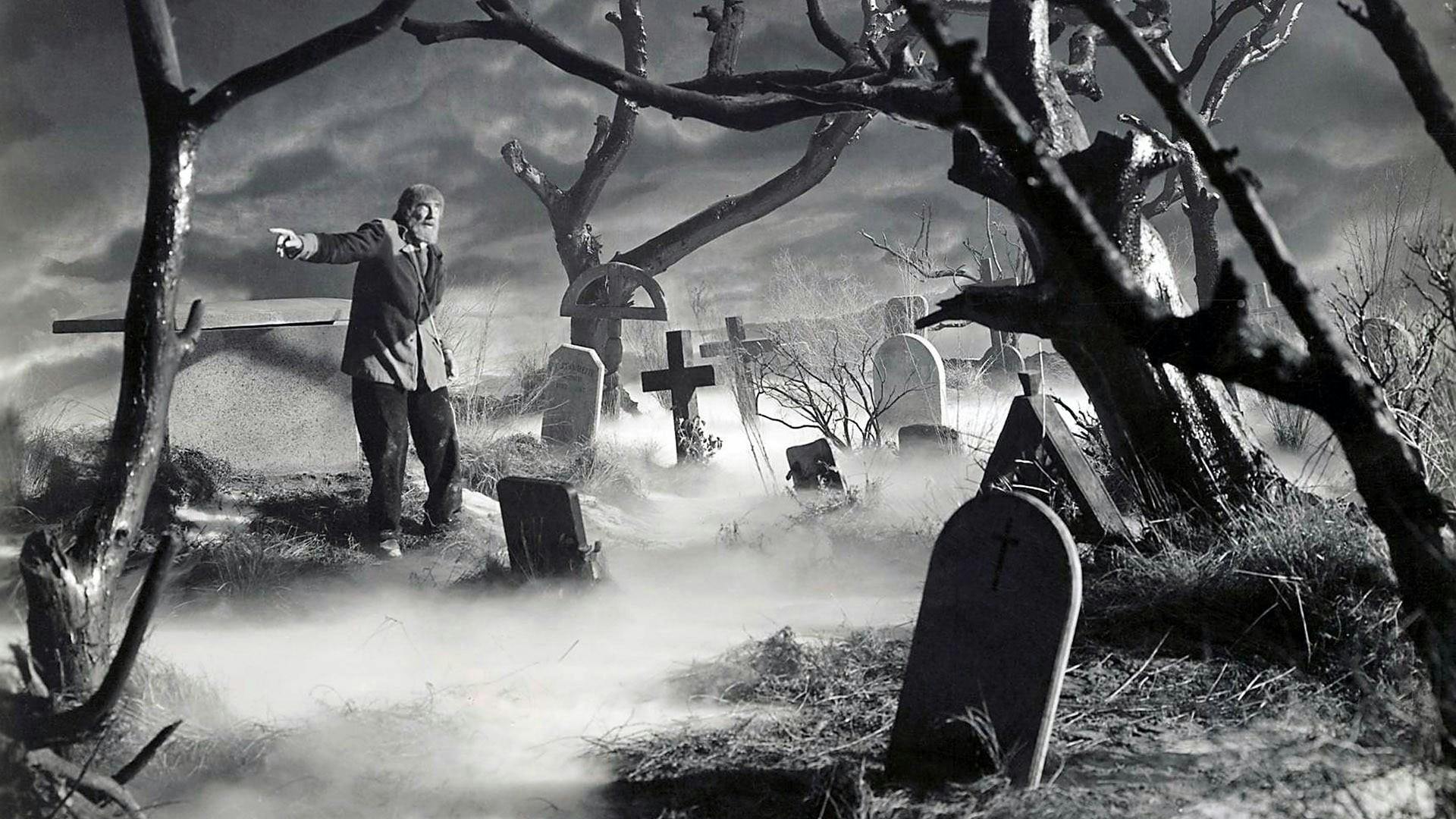 O Filho de Frankenstein backdrop
