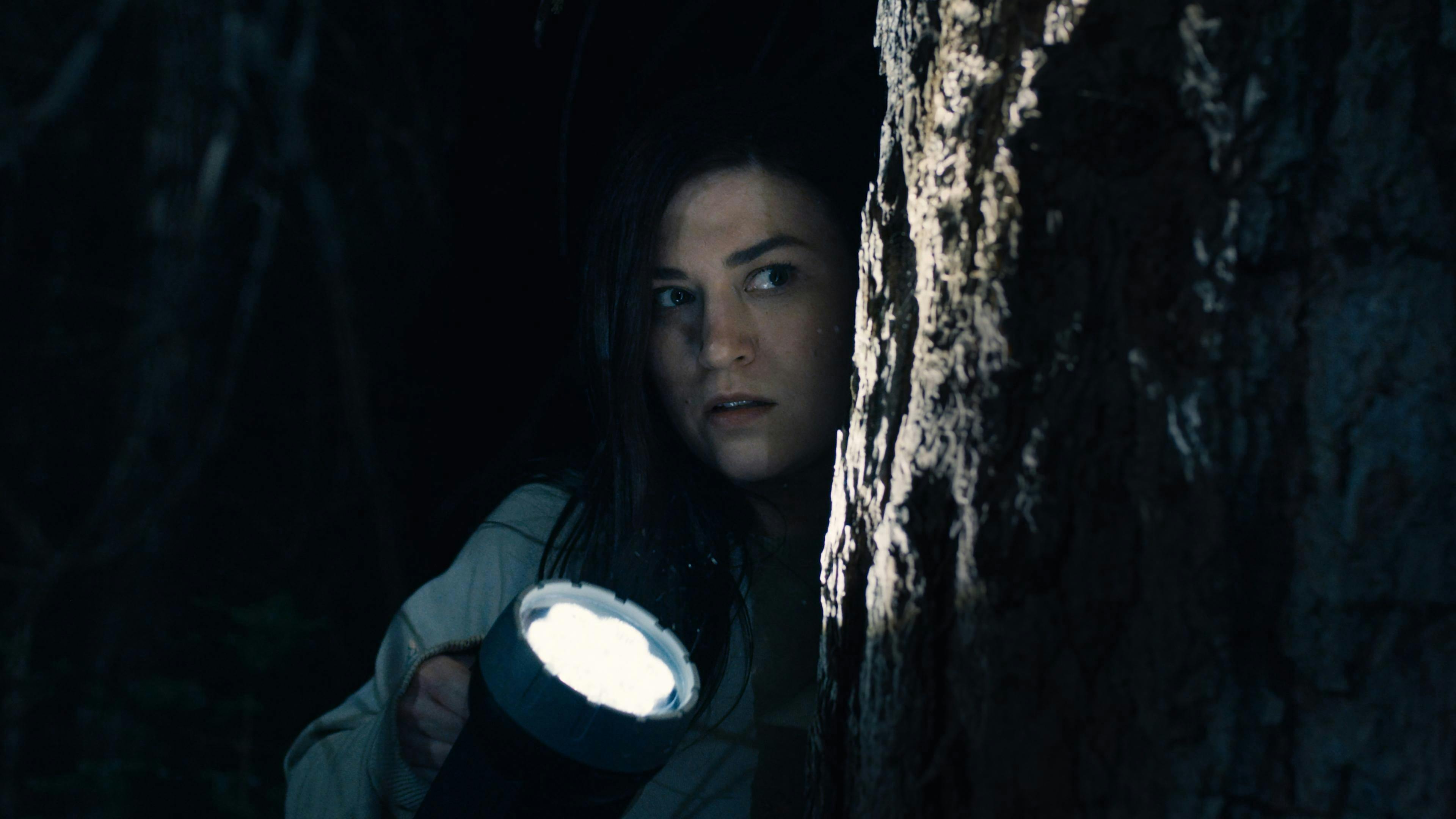 Um Estranho no Bosque backdrop