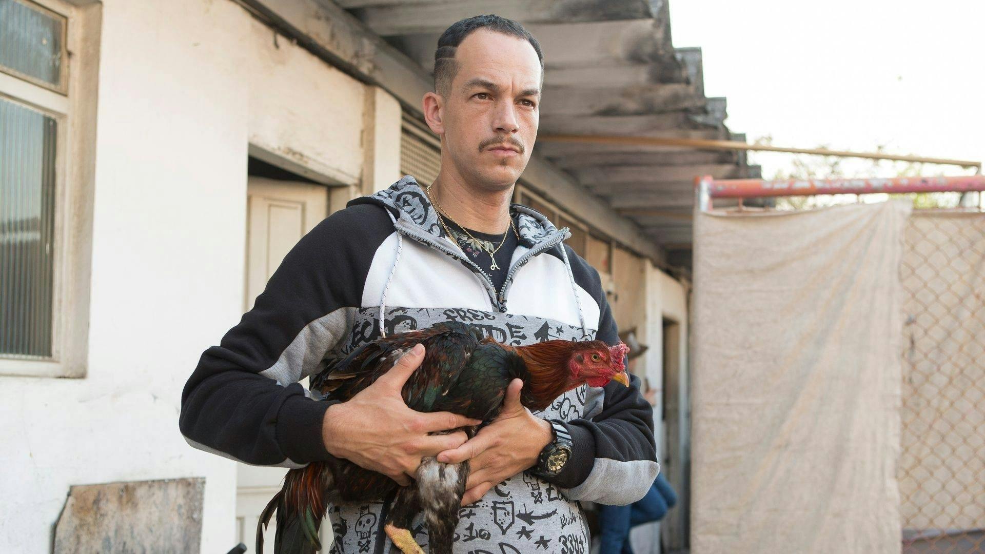 Os Ausentes - episódio 1x3