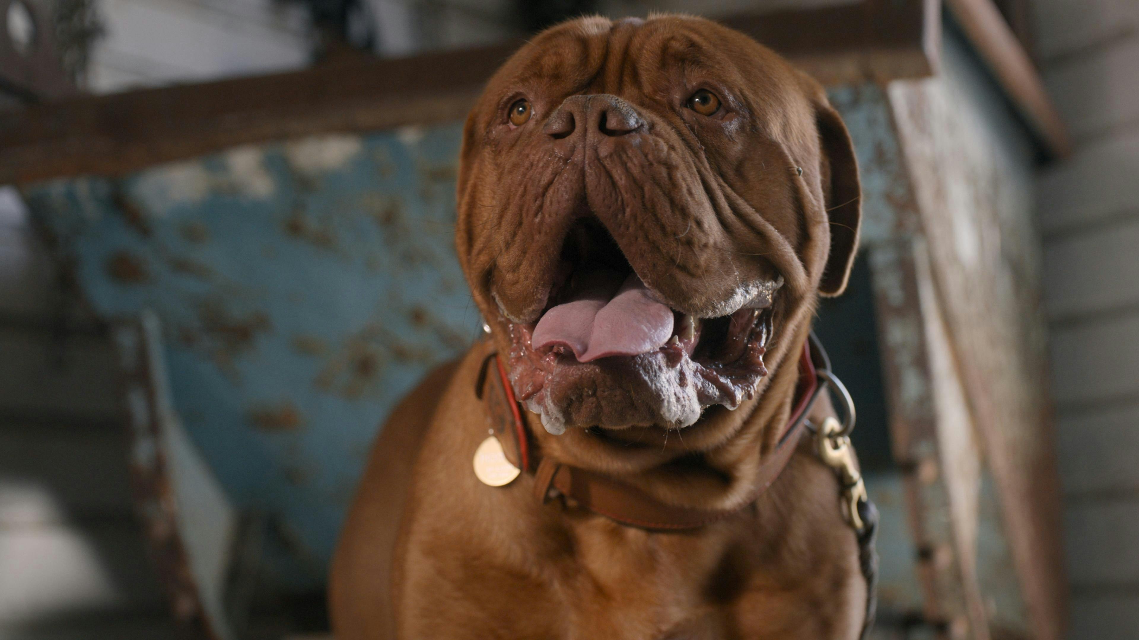 Turner e Hooch - episódio 1x12