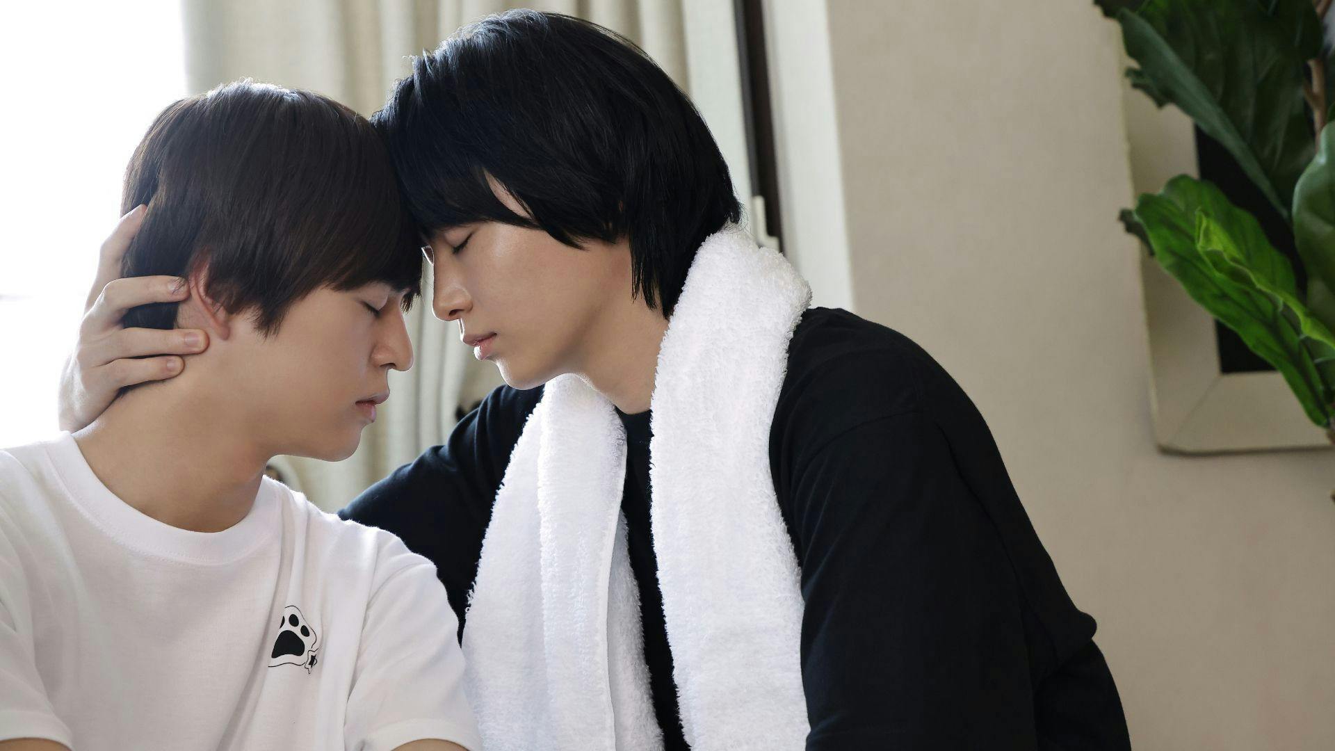 Cosmetic Playlover backdrop