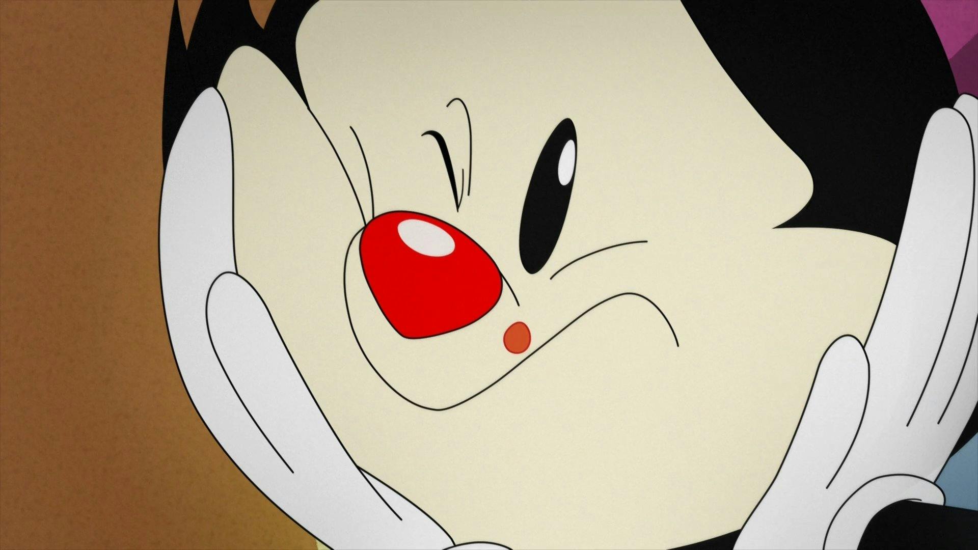 Animaniacs - episódio 1x37