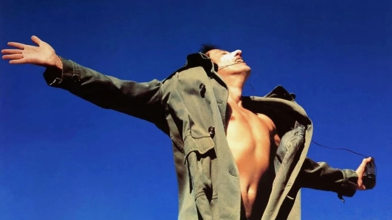 Shine - Brilhante backdrop