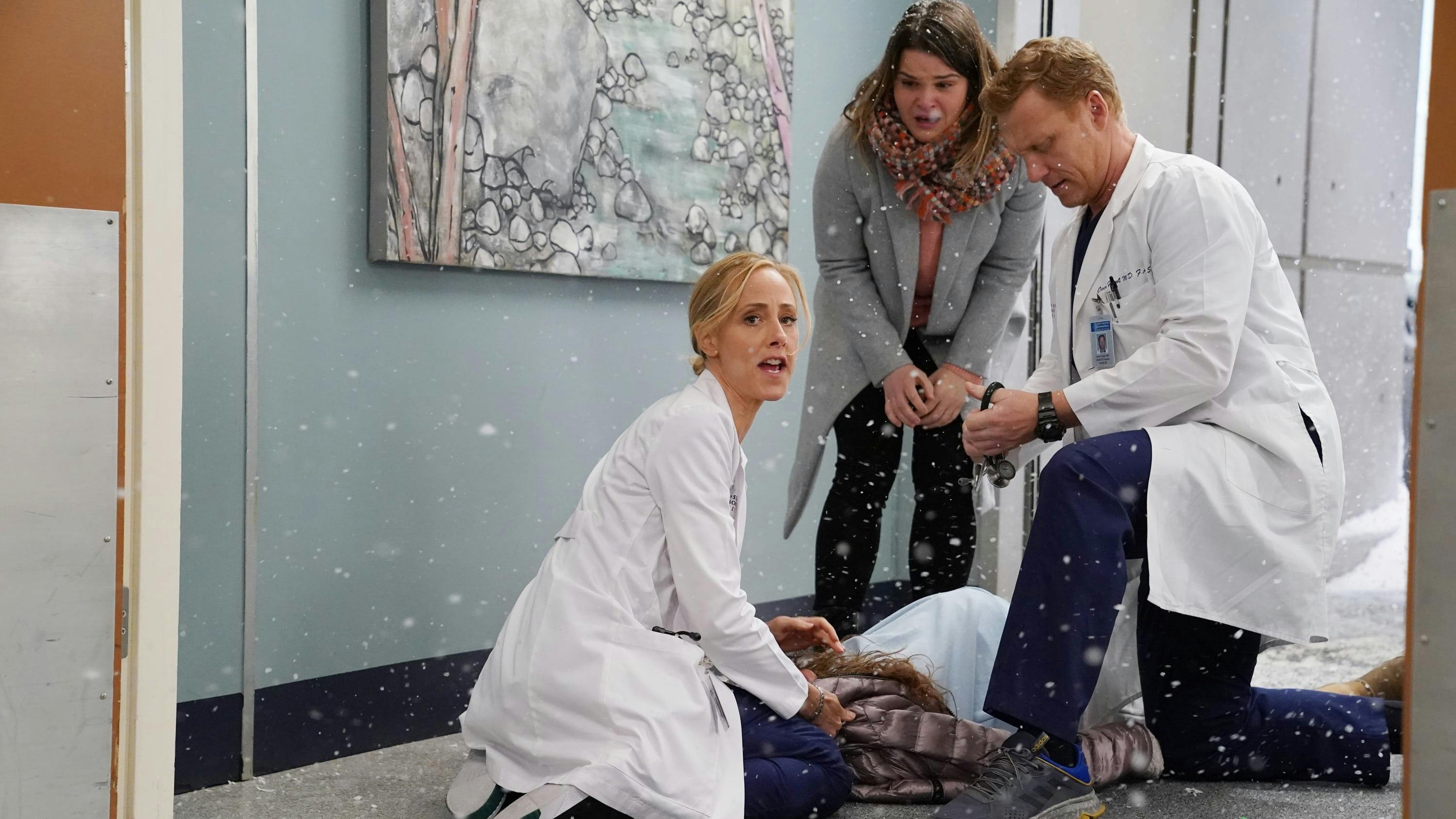 Grey's Anatomy - episódio 16x15