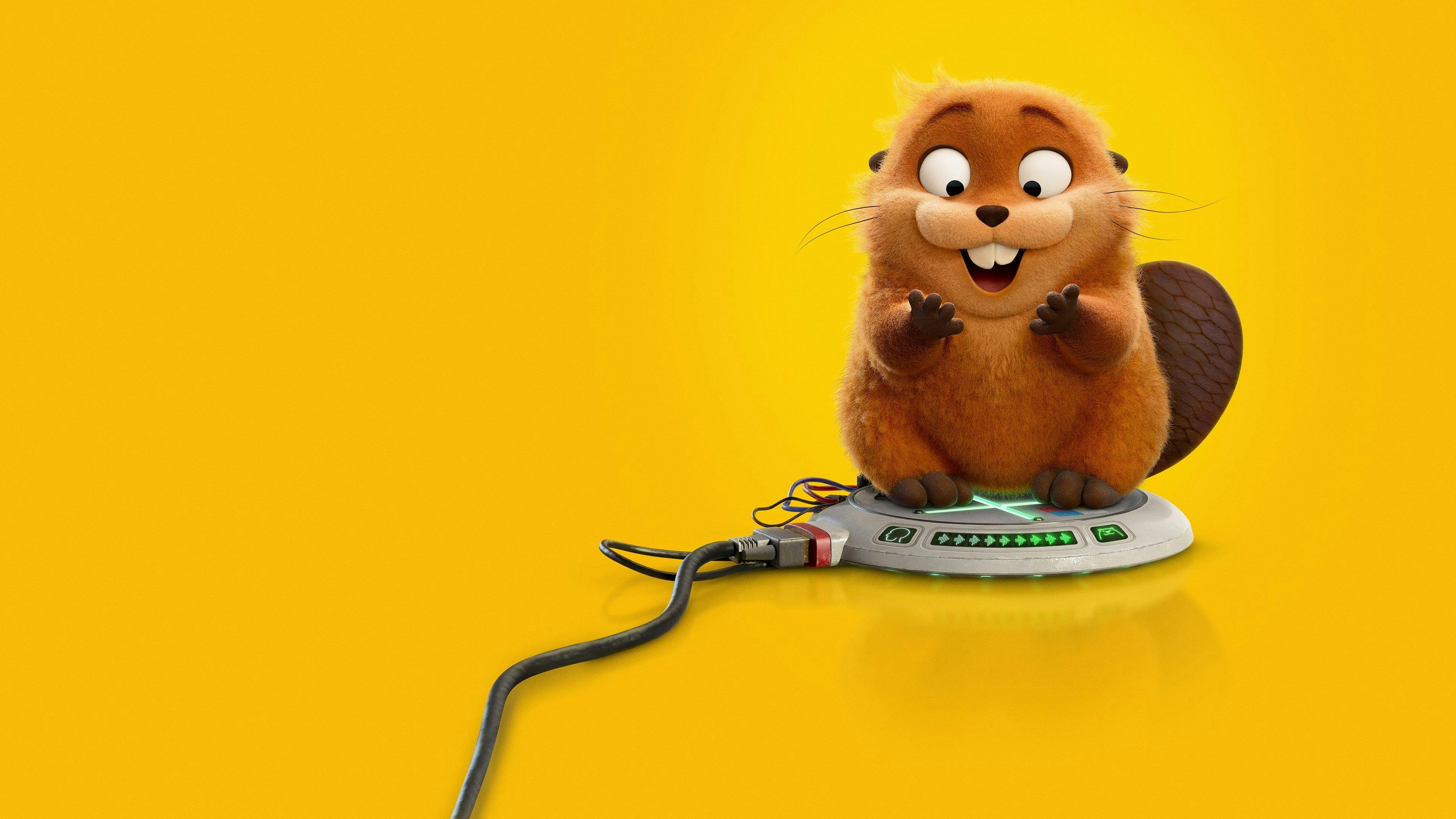 Cara de Um, Focinho de Outro backdrop