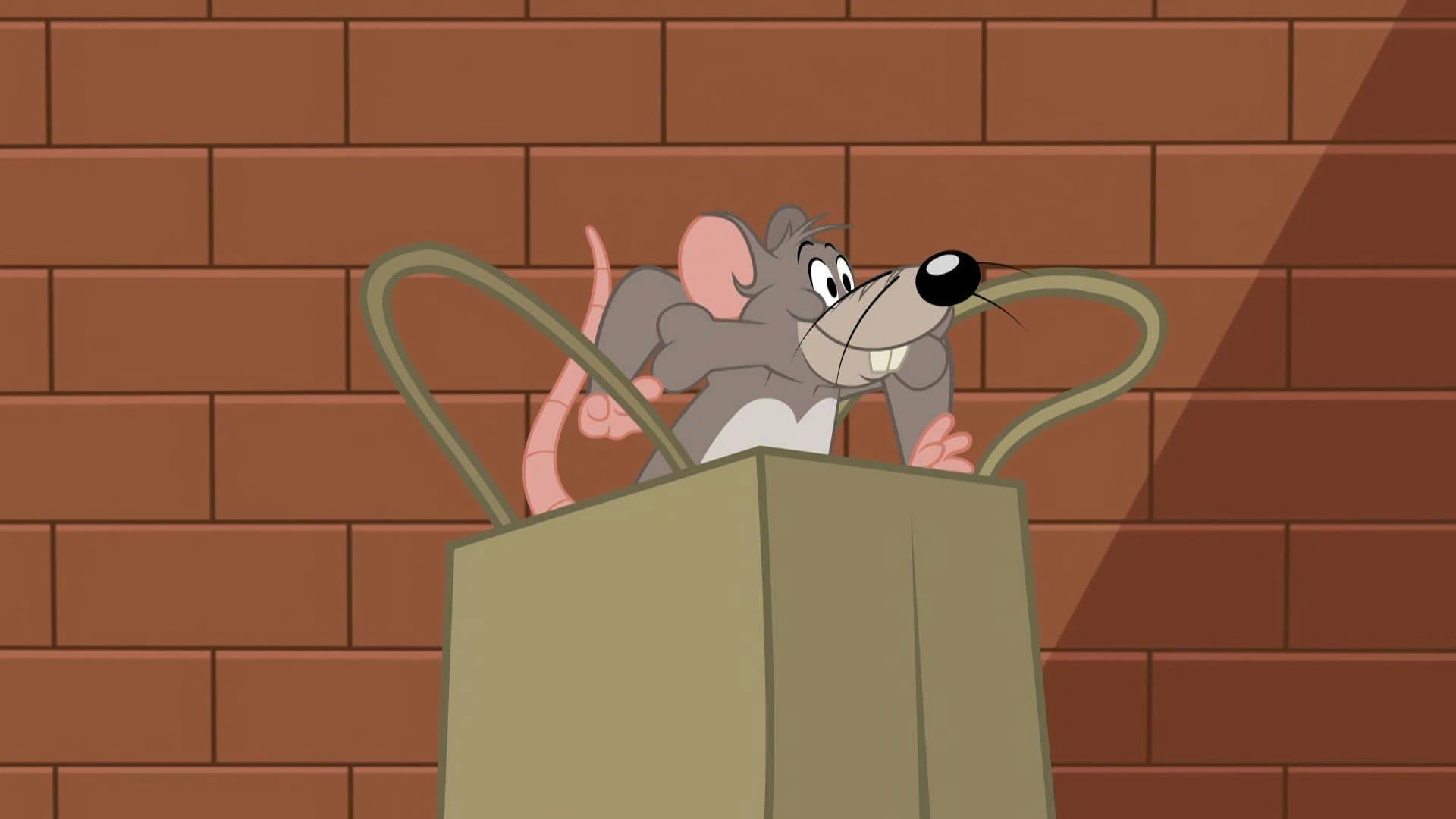 O Show de Tom e Jerry