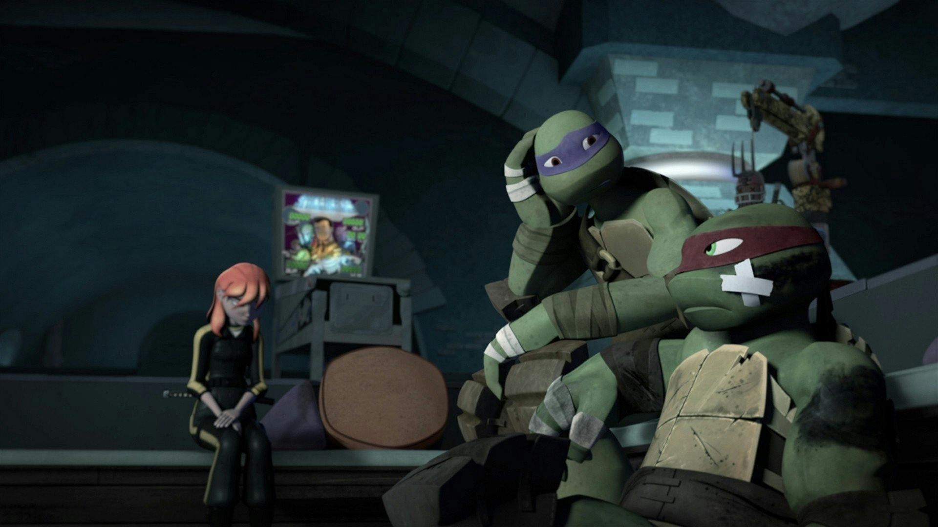 As Tartarugas Ninjas