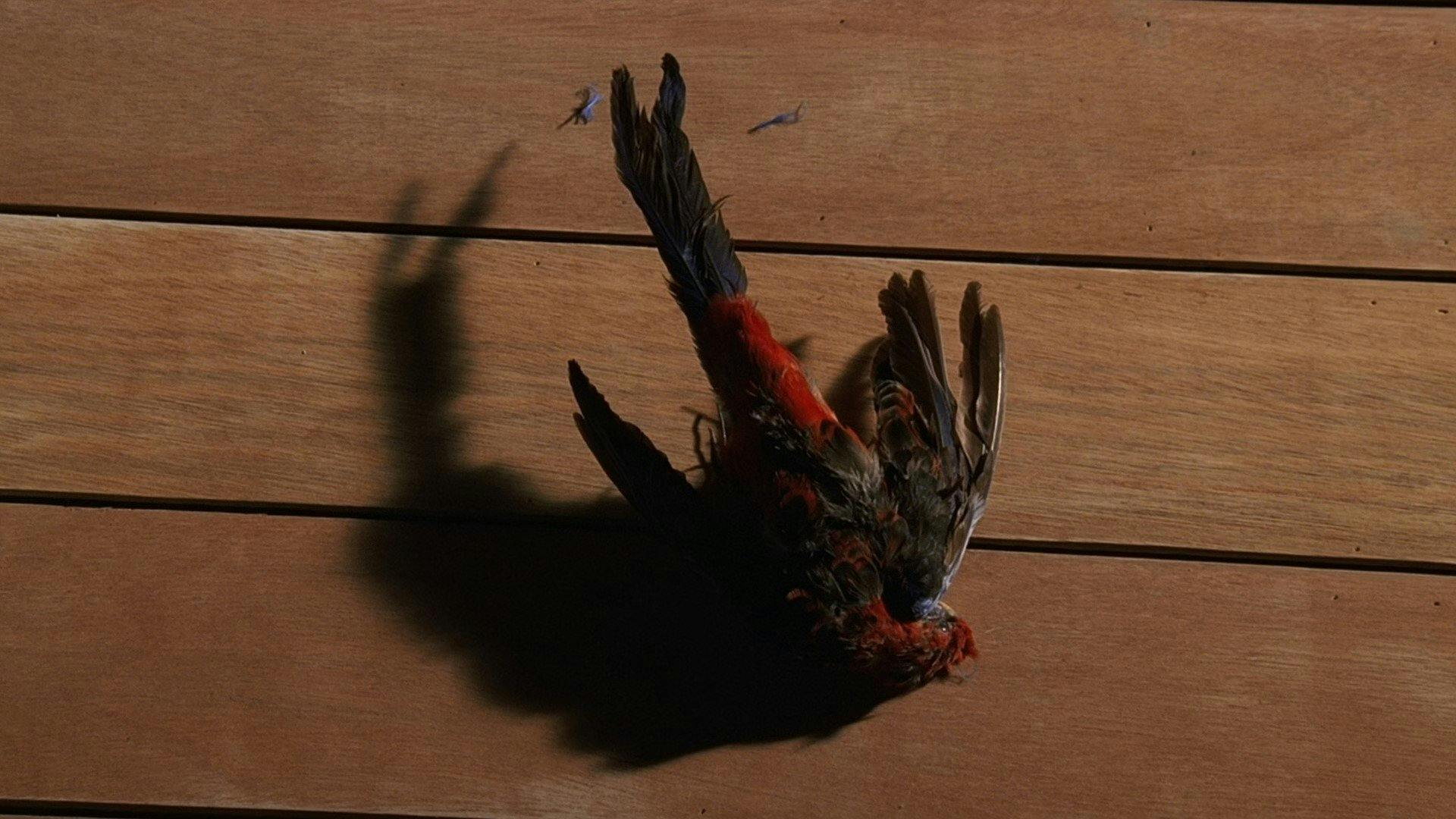 Lost - episódio 1x14