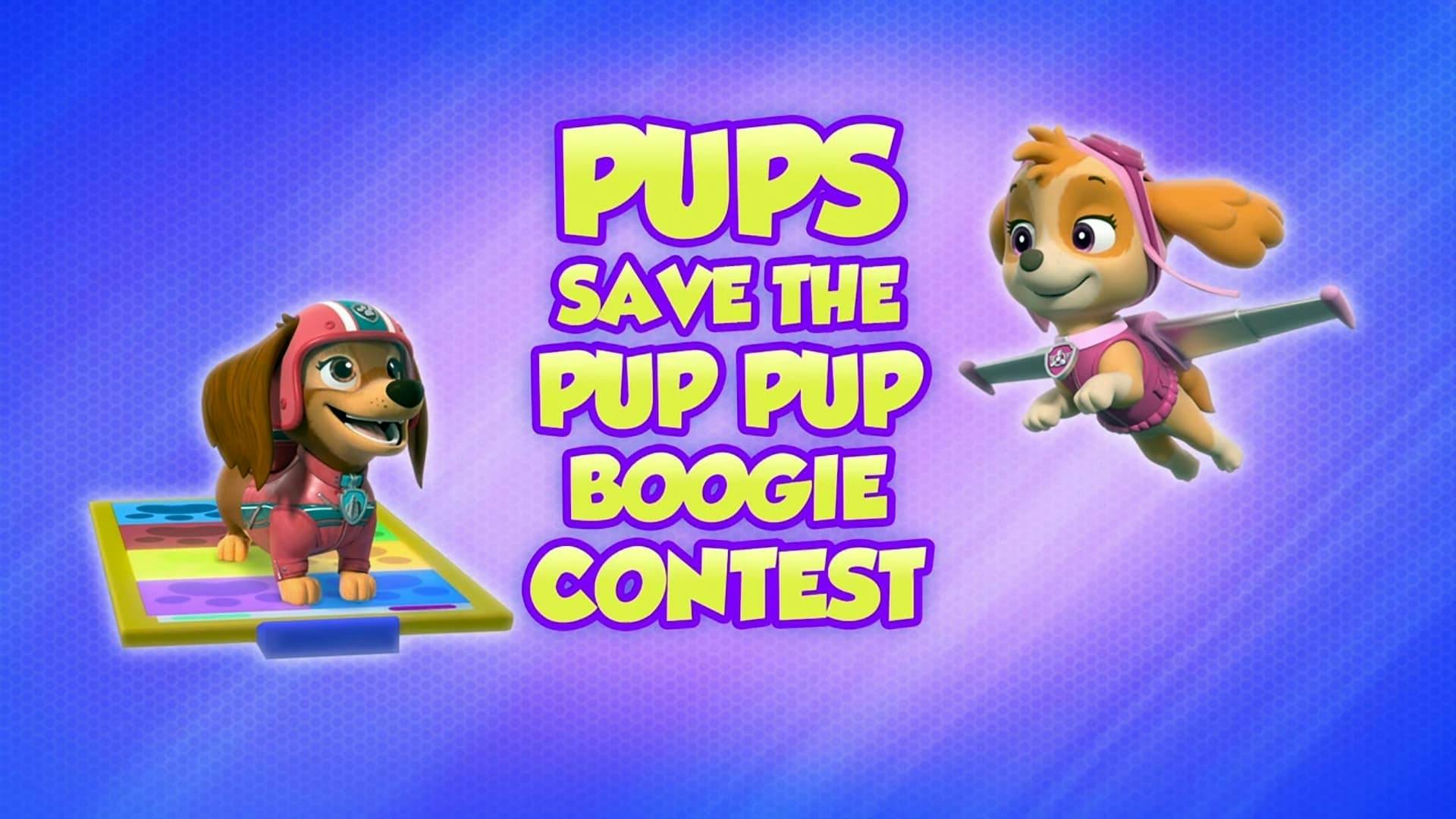 Filhotes Salvam O Concurso Do Boogie Da Patinha
