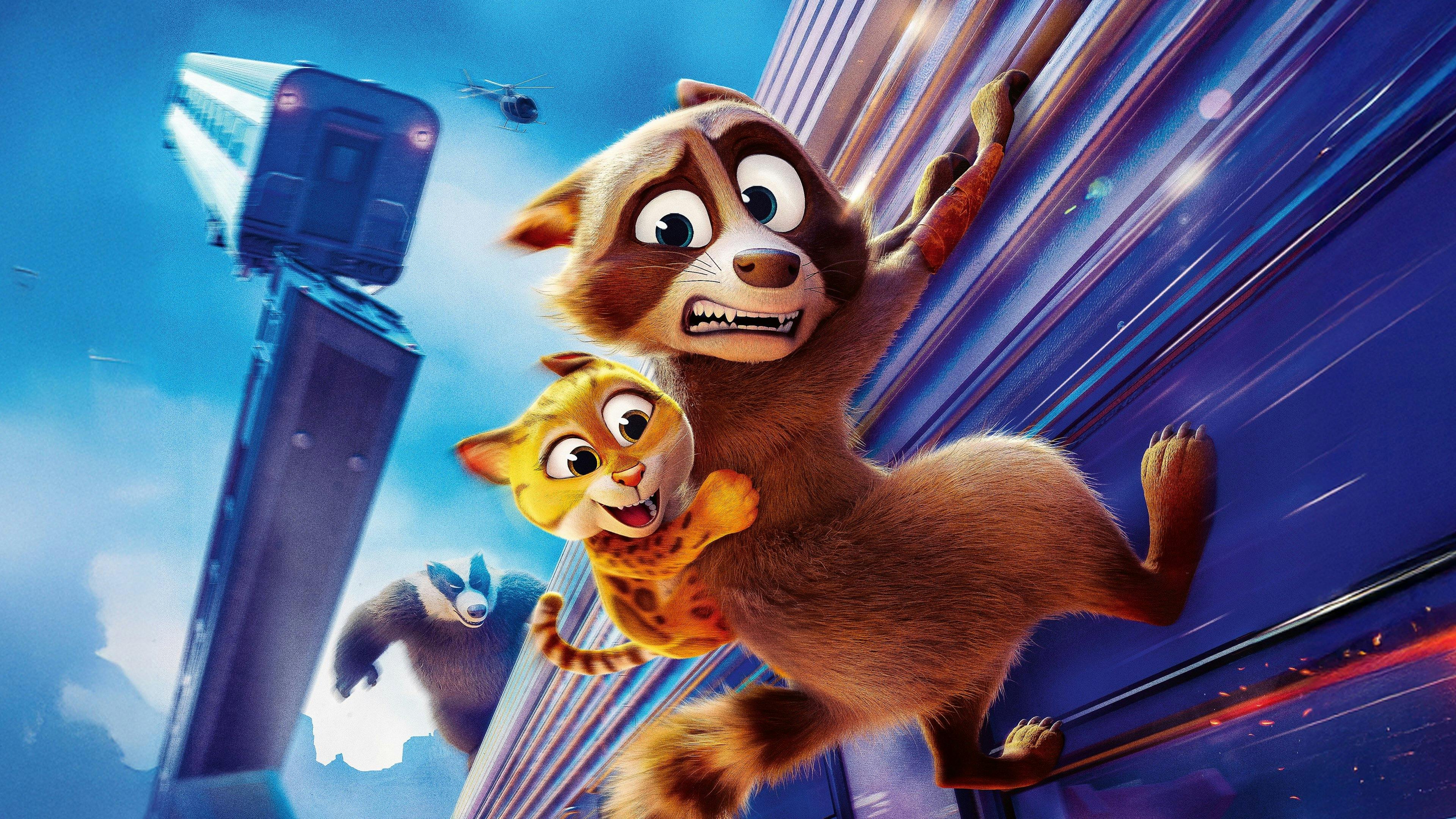 Missão Pet backdrop