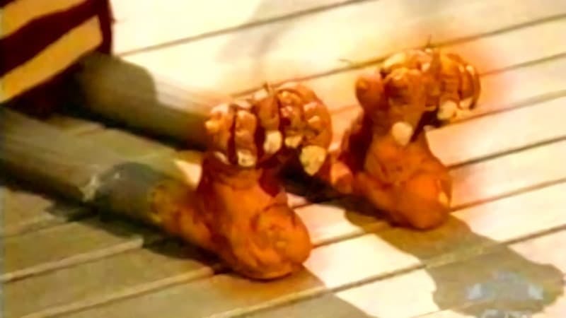 As Trapalhadas de Flapjack - episódio 1x3