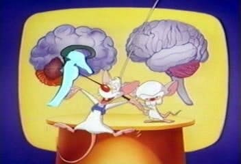 Pinky e o Cérebro - episódio 1x5