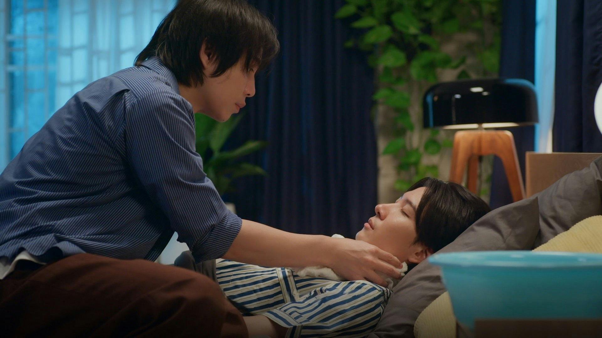 Cat for Cash backdrop