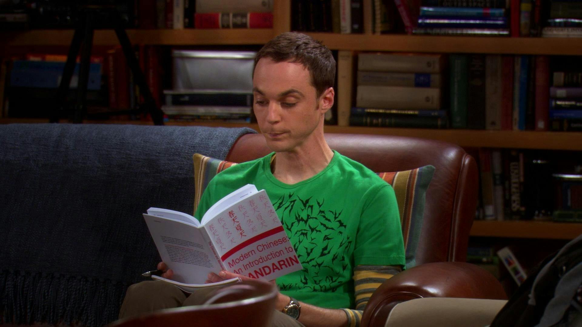 Big Bang: A Teoria - episódio 1x17