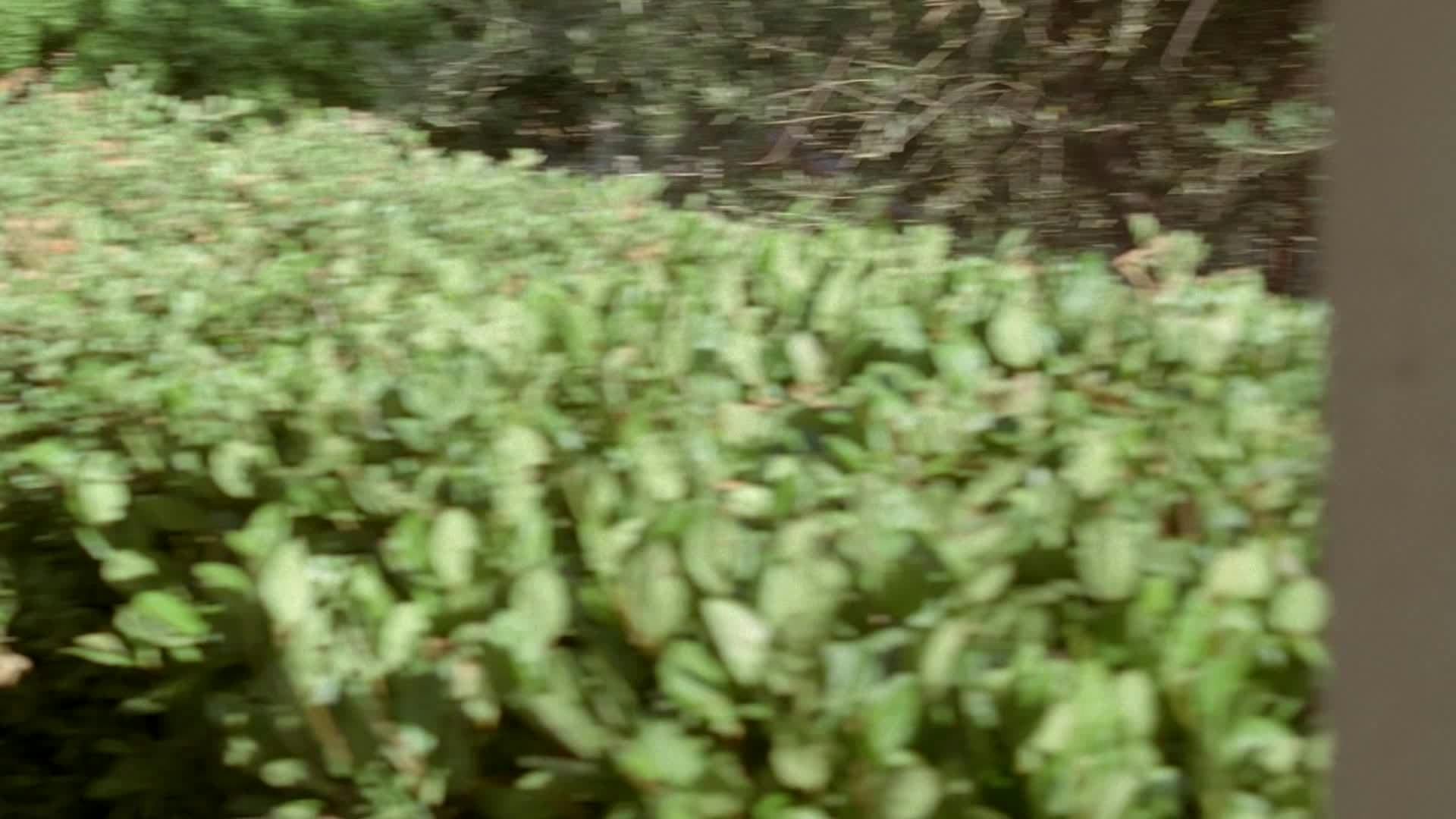 Amor Imenso - episódio 1x3