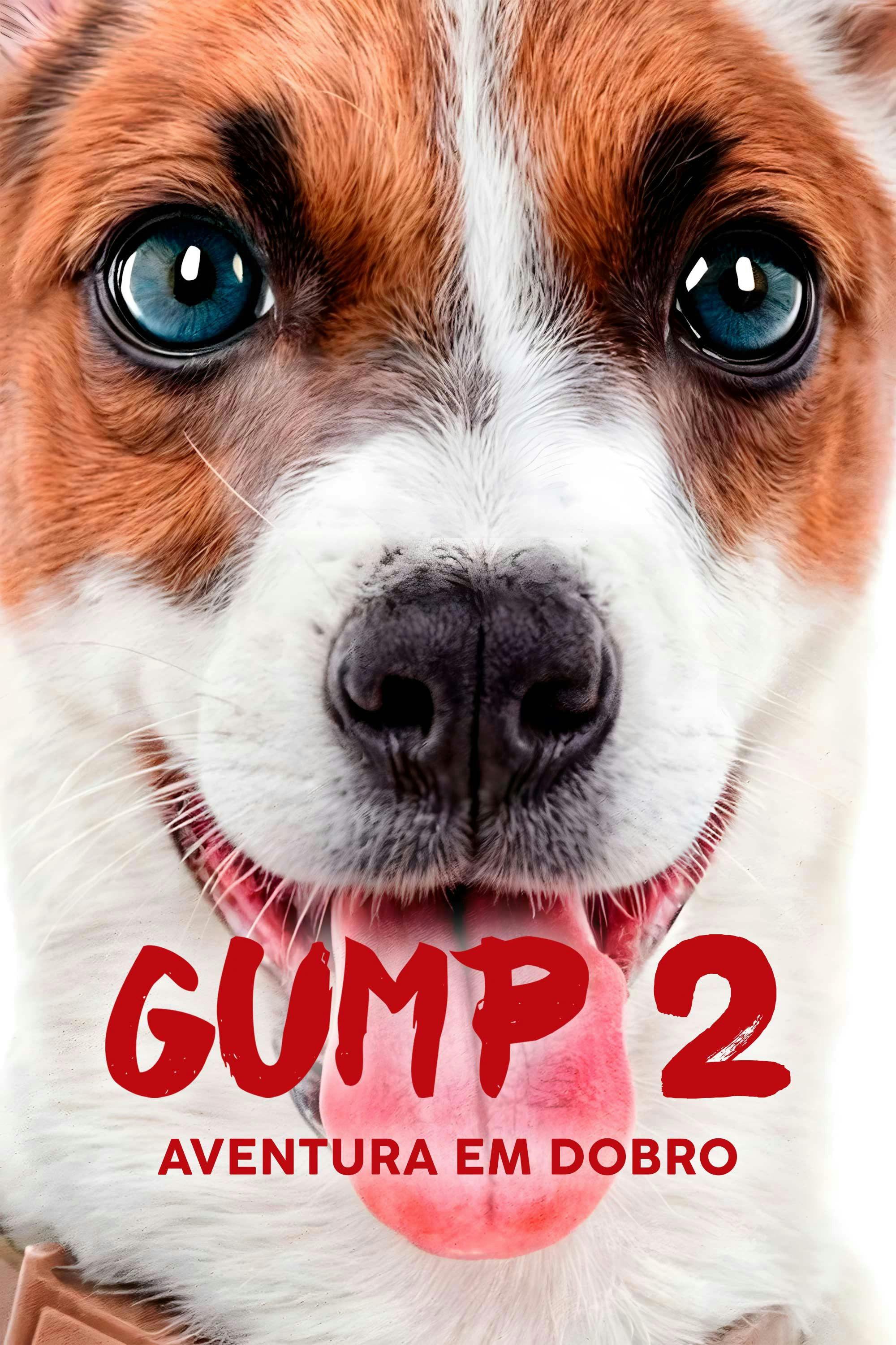 Gump 2 - Aventura em Dobro poster