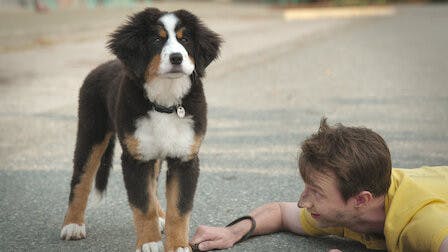 Supercães - episódio 1x3