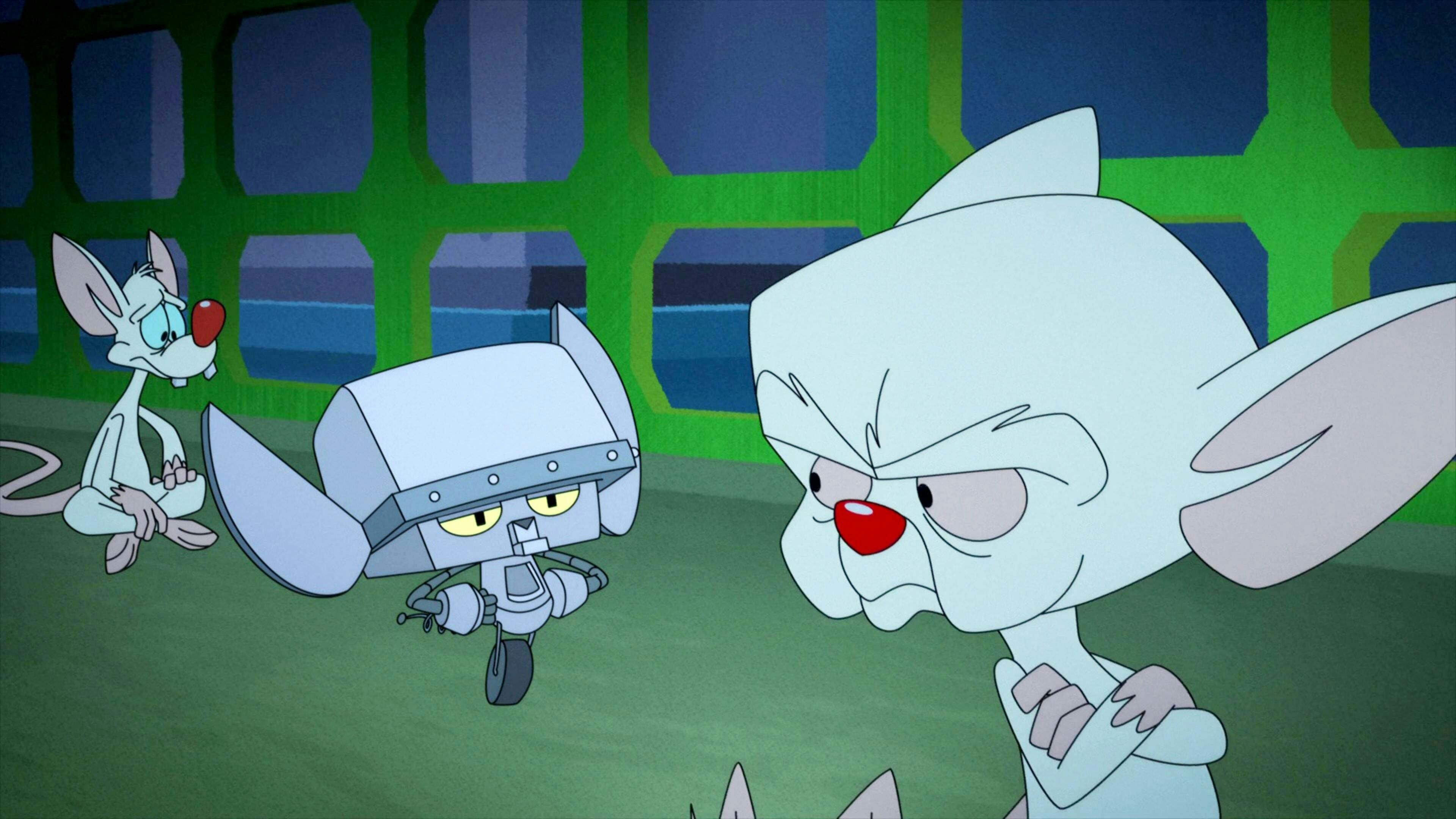 Animaniacs