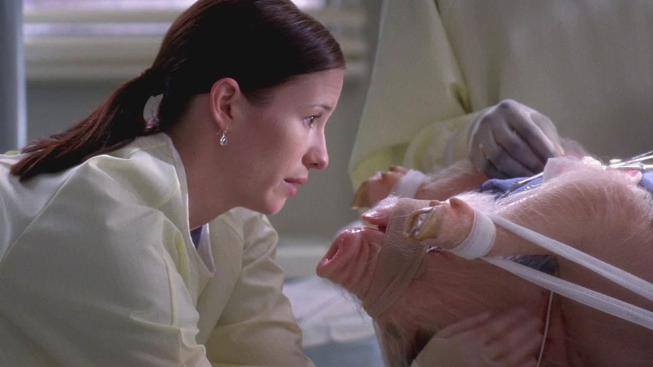 Grey's Anatomy - episódio 5x6