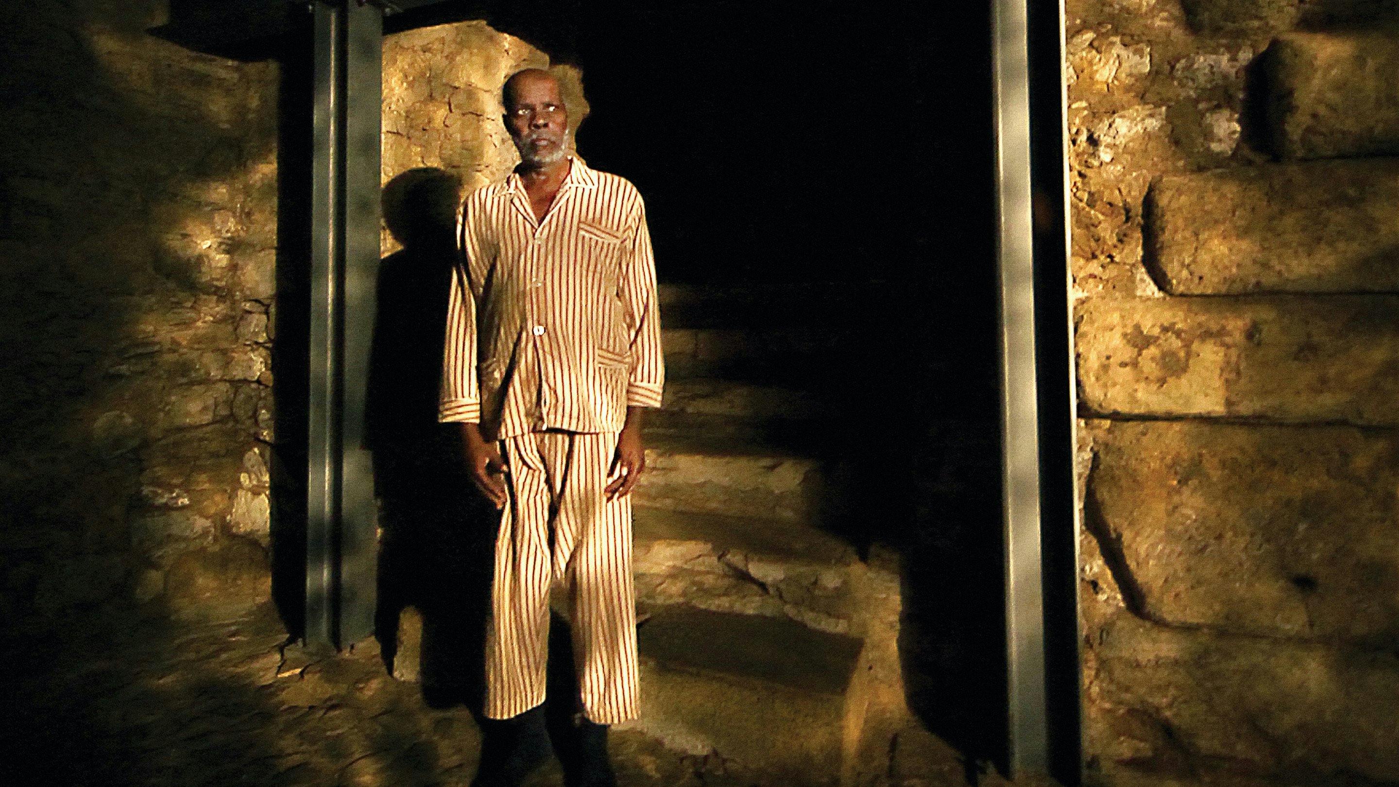 Cavalo Dinheiro backdrop