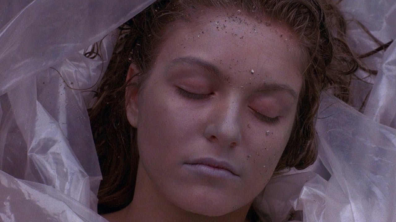 Twin Peaks - episódio 1x1