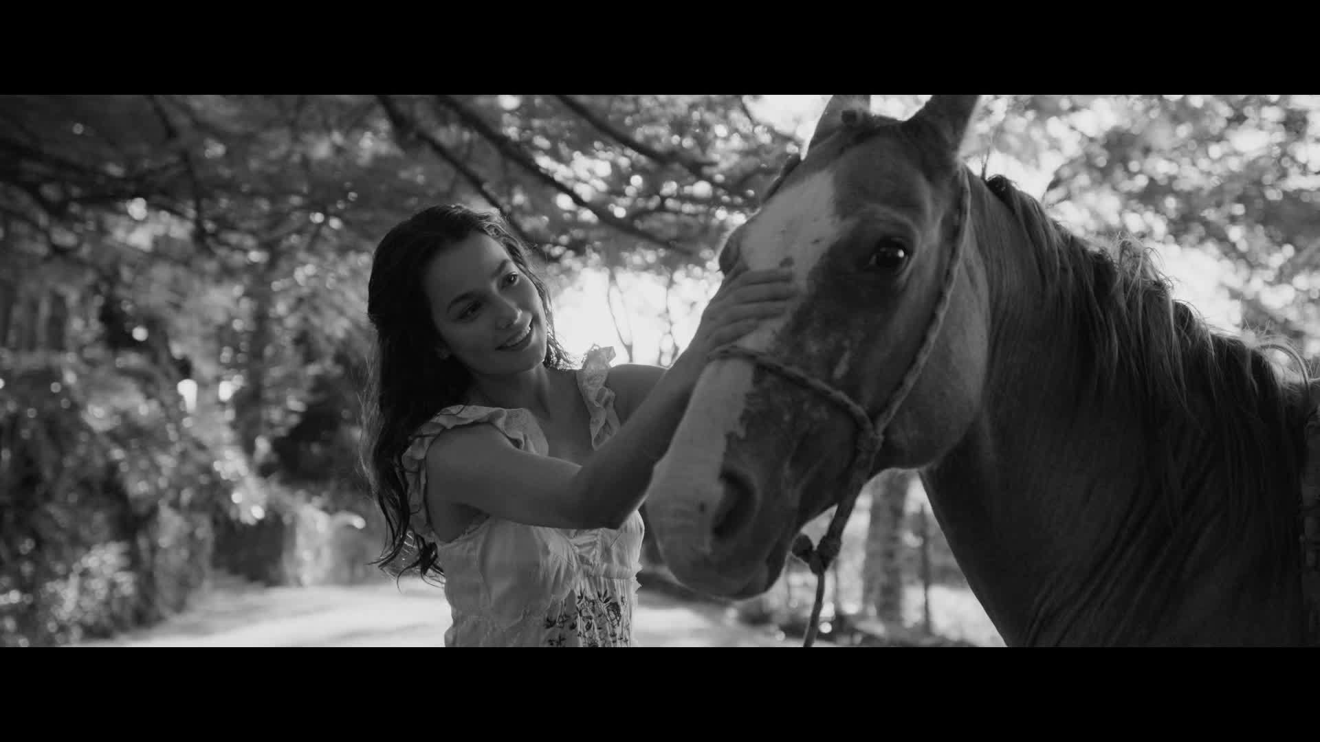 Colônia - episódio 1x7