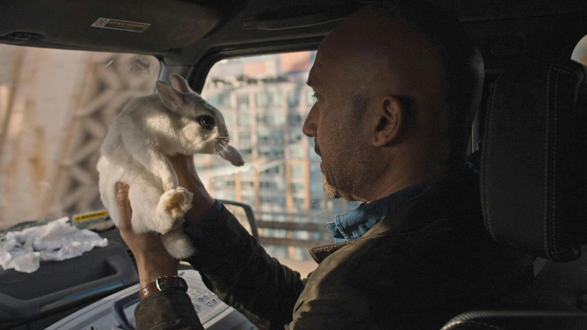 Amigos da Faculdade - episódio 1x2