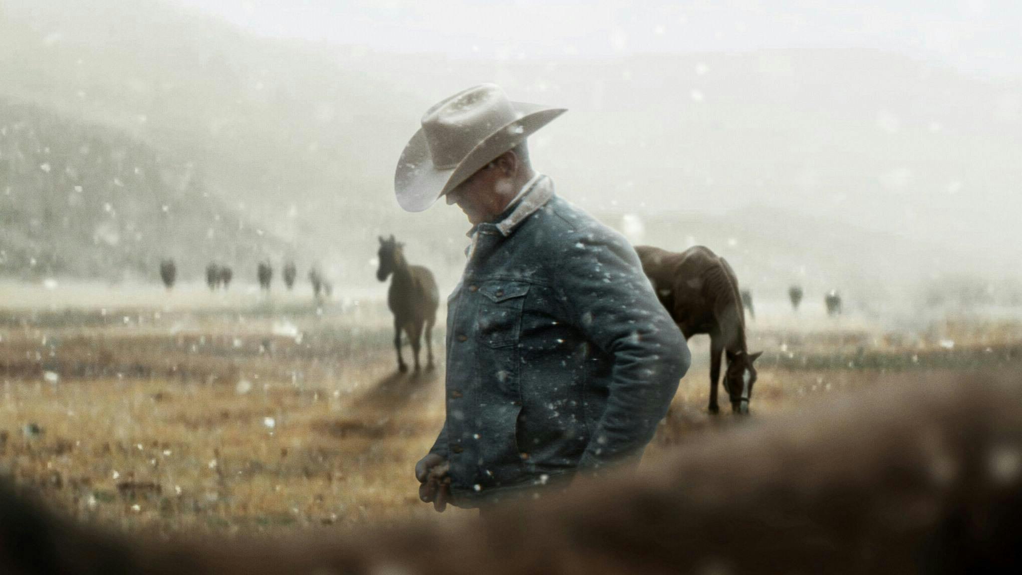 Meus Heróis Eram Cowboys backdrop