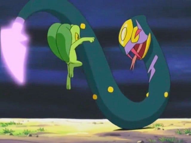 O Treecko É Um Treco