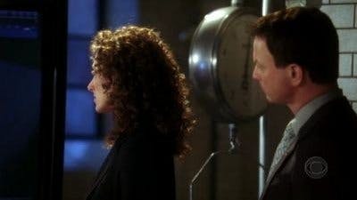 CSI: Nova York - episódio 1x16