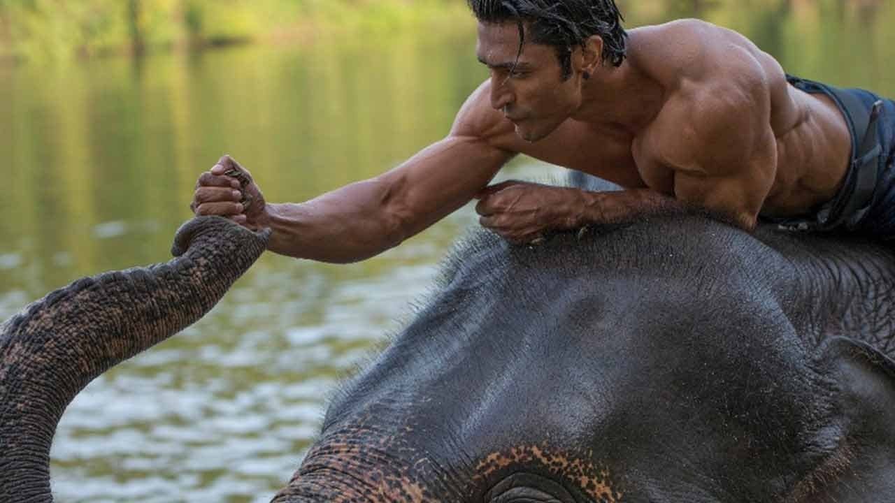 Junglee - Protegendo a Selva backdrop