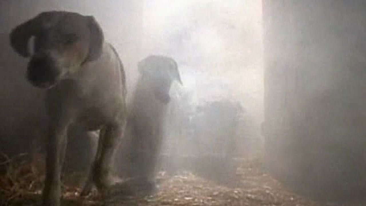 O Clube do Terror - episódio 1x5