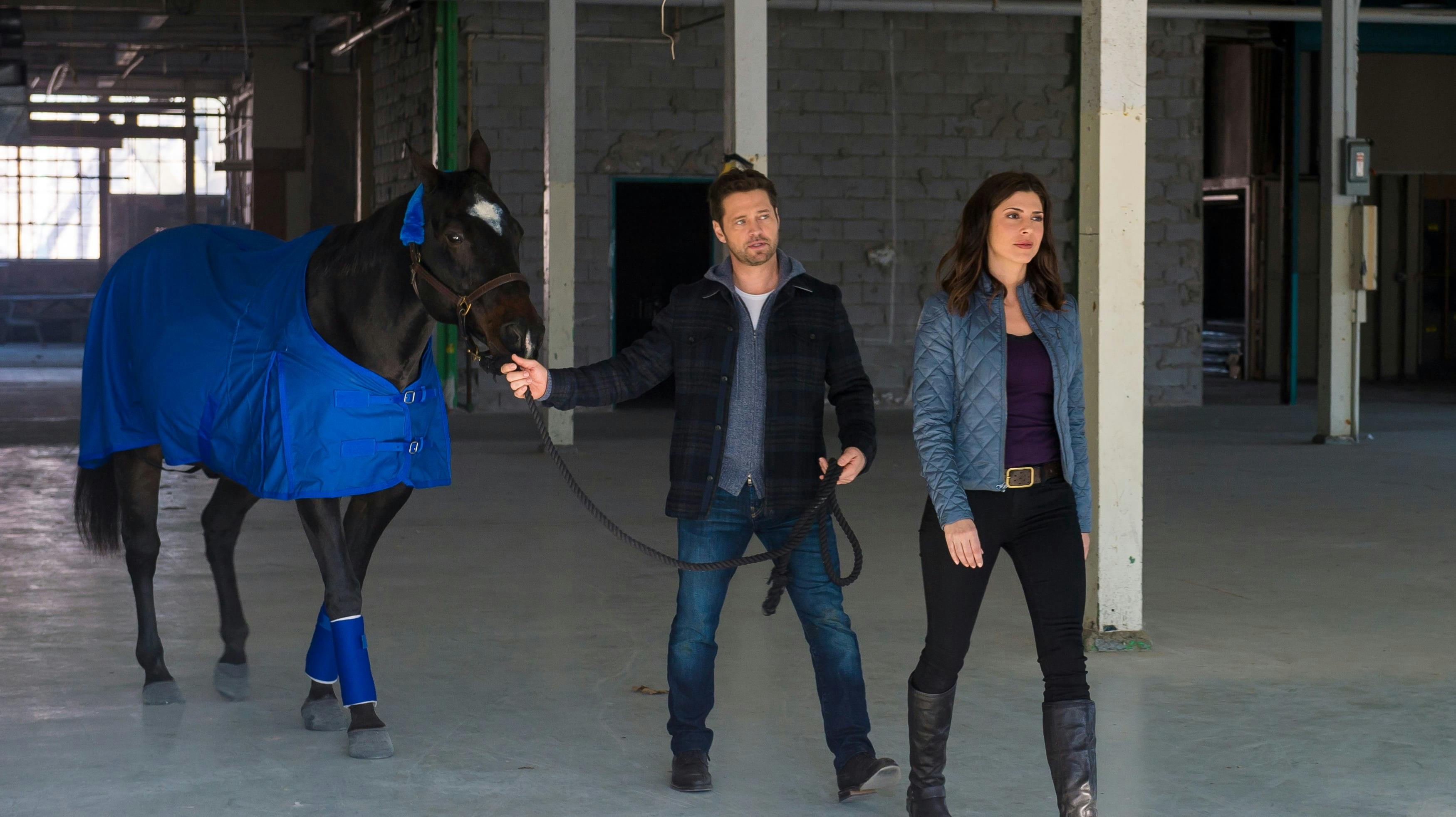 Private Eyes - episódio 1x3