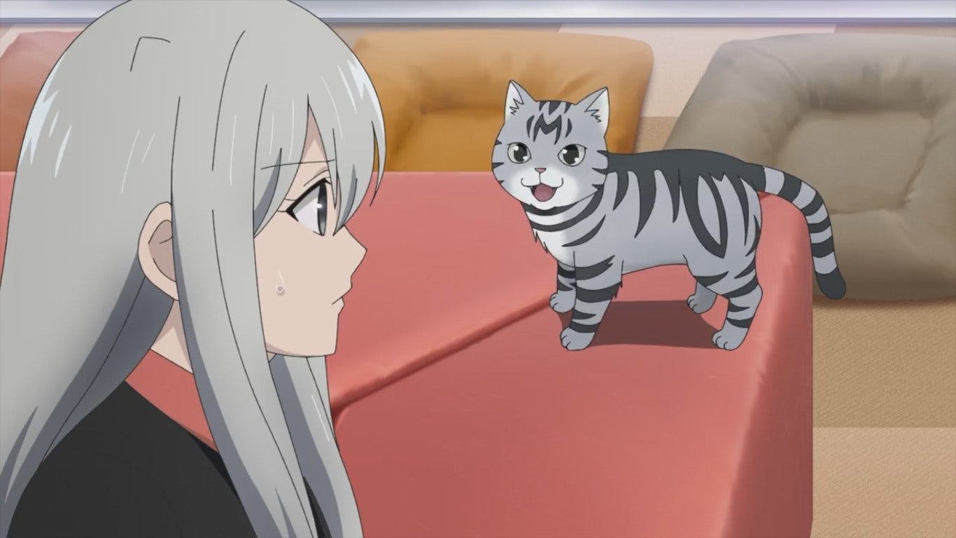 Kawaisugi Crisis - episódio 1x1