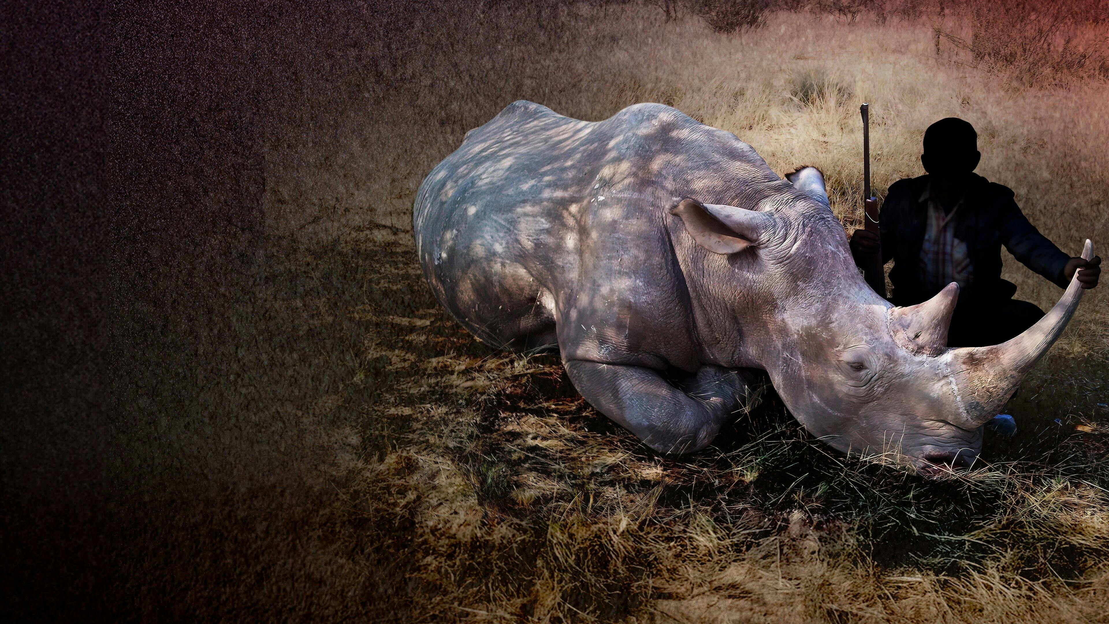 Troféu de Sangue backdrop