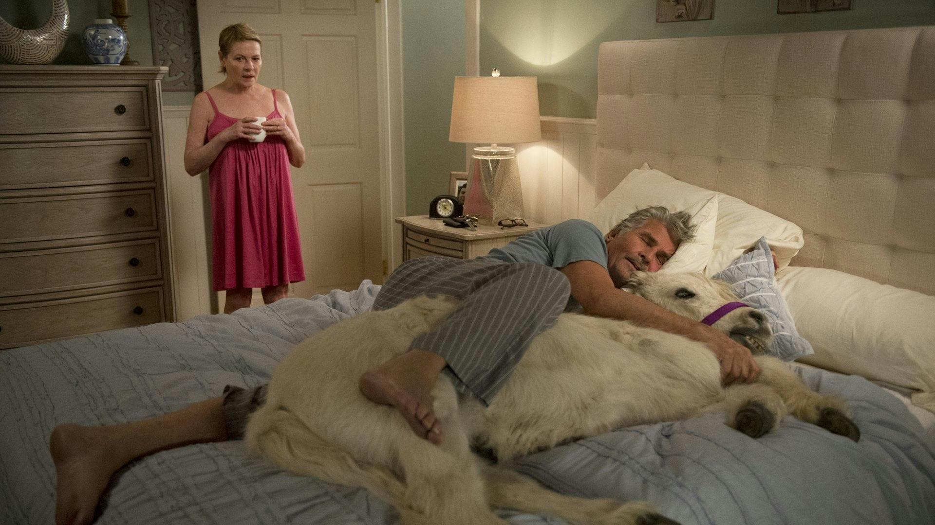 Life in Pieces: Uma Grande Família. Quatro Pequenas Histórias. - episódio 1x18