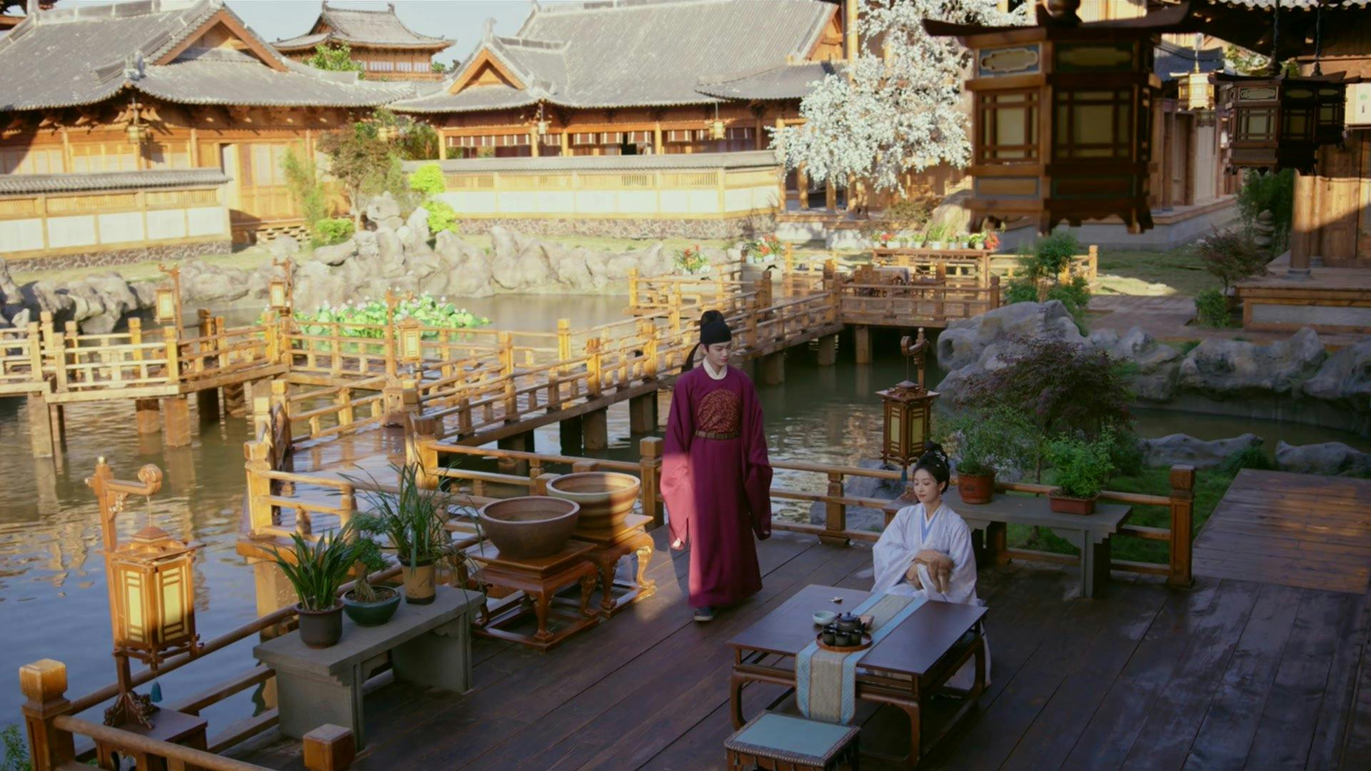 Luta pelo Amor backdrop