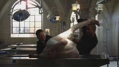 CSI: Nova York - episódio 1x14