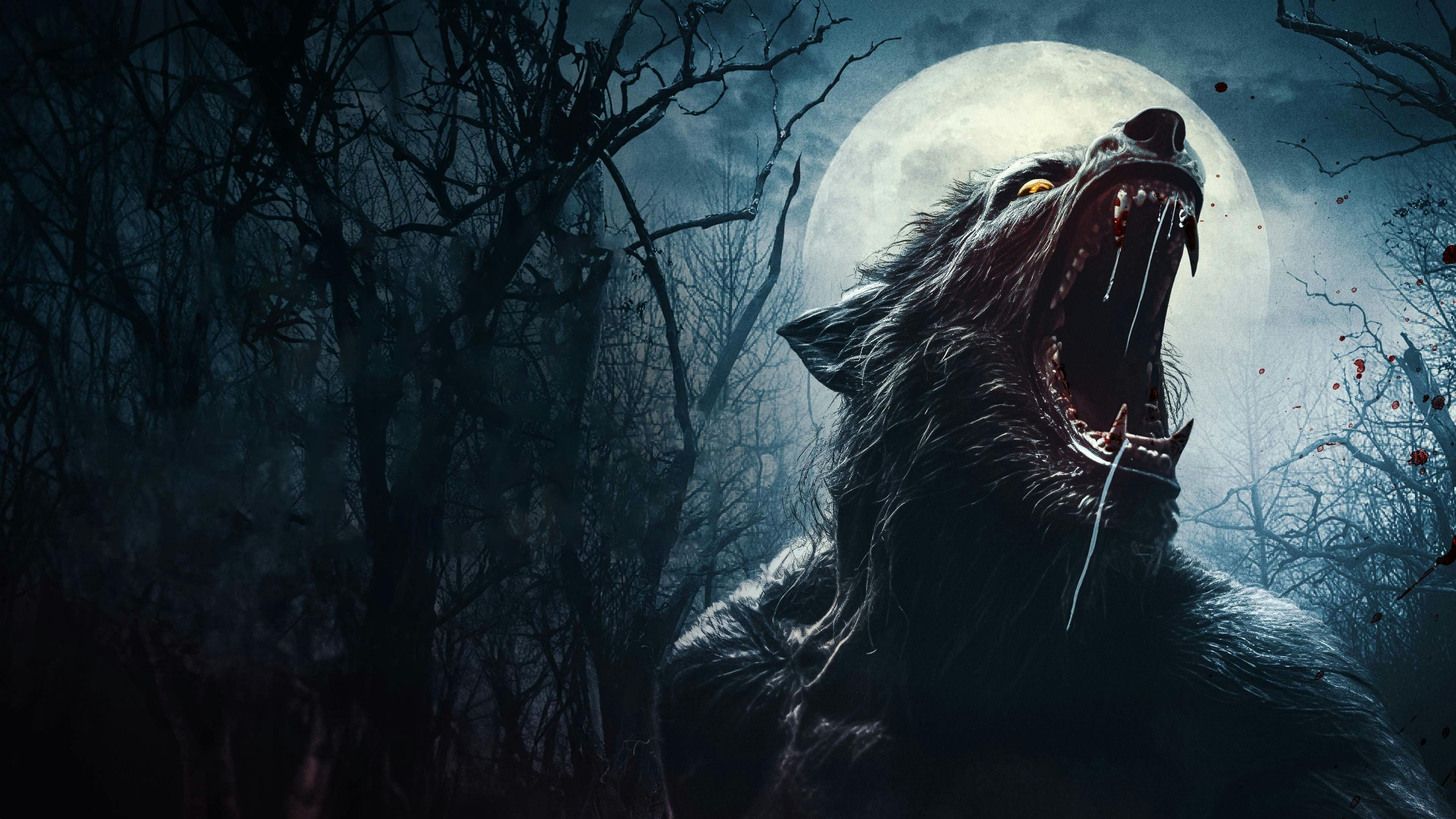 A Morada dos Lobisomens backdrop