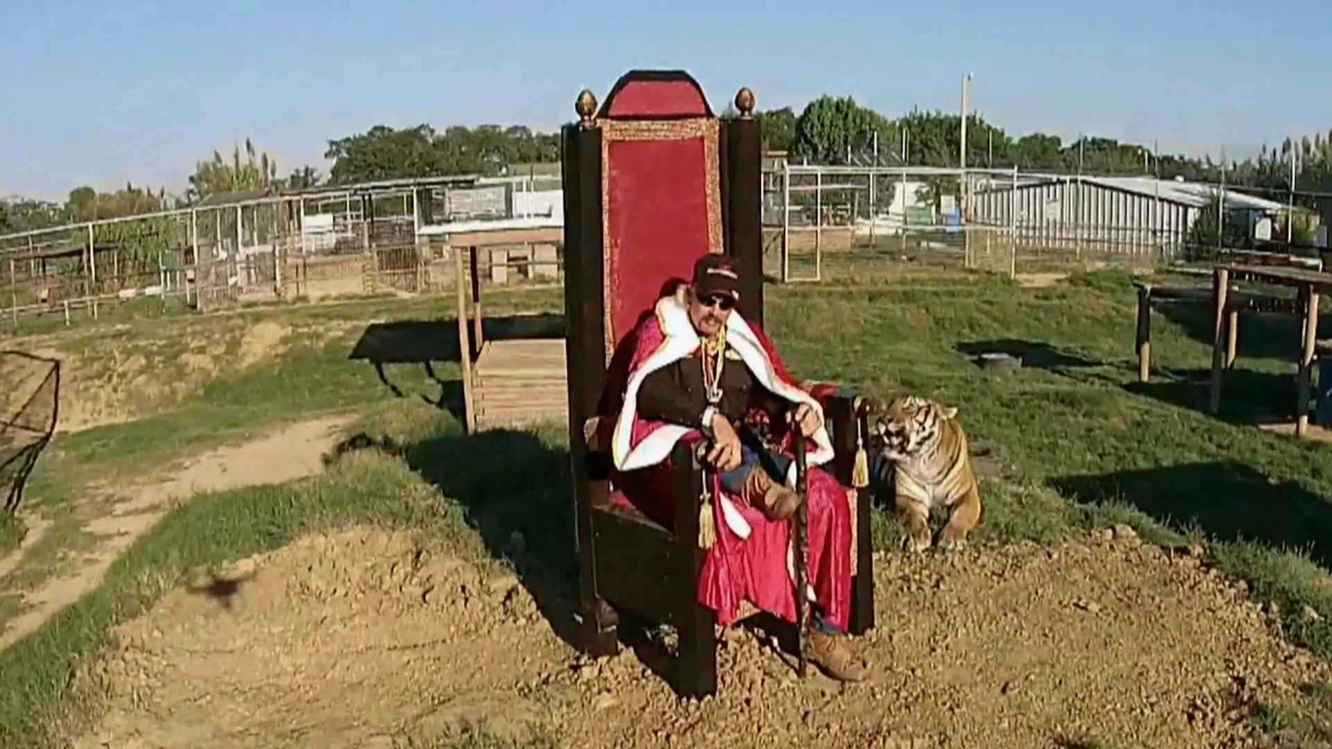 A Máfia dos Tigres - episódio 1x7