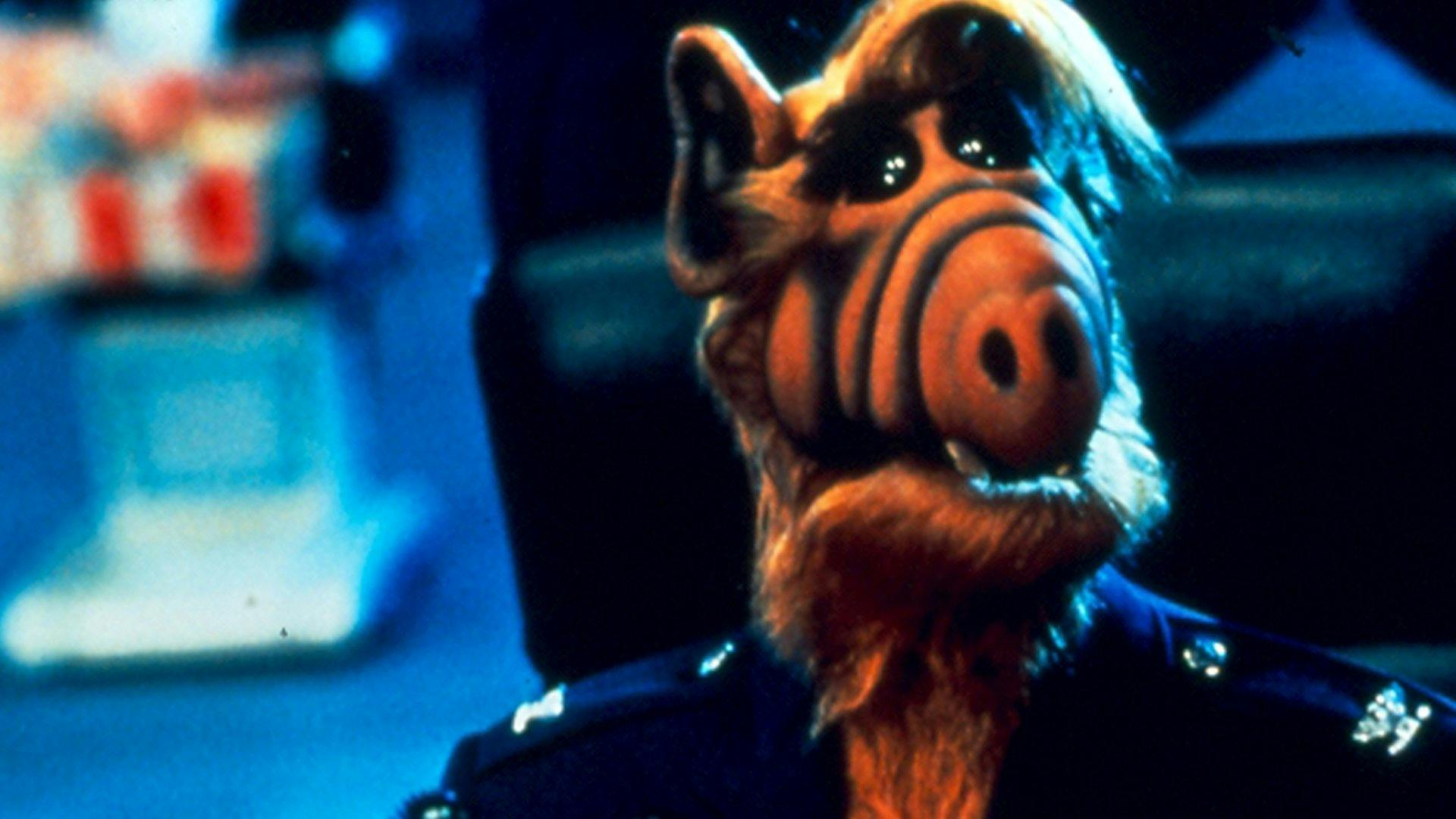 Projeto: Alf backdrop