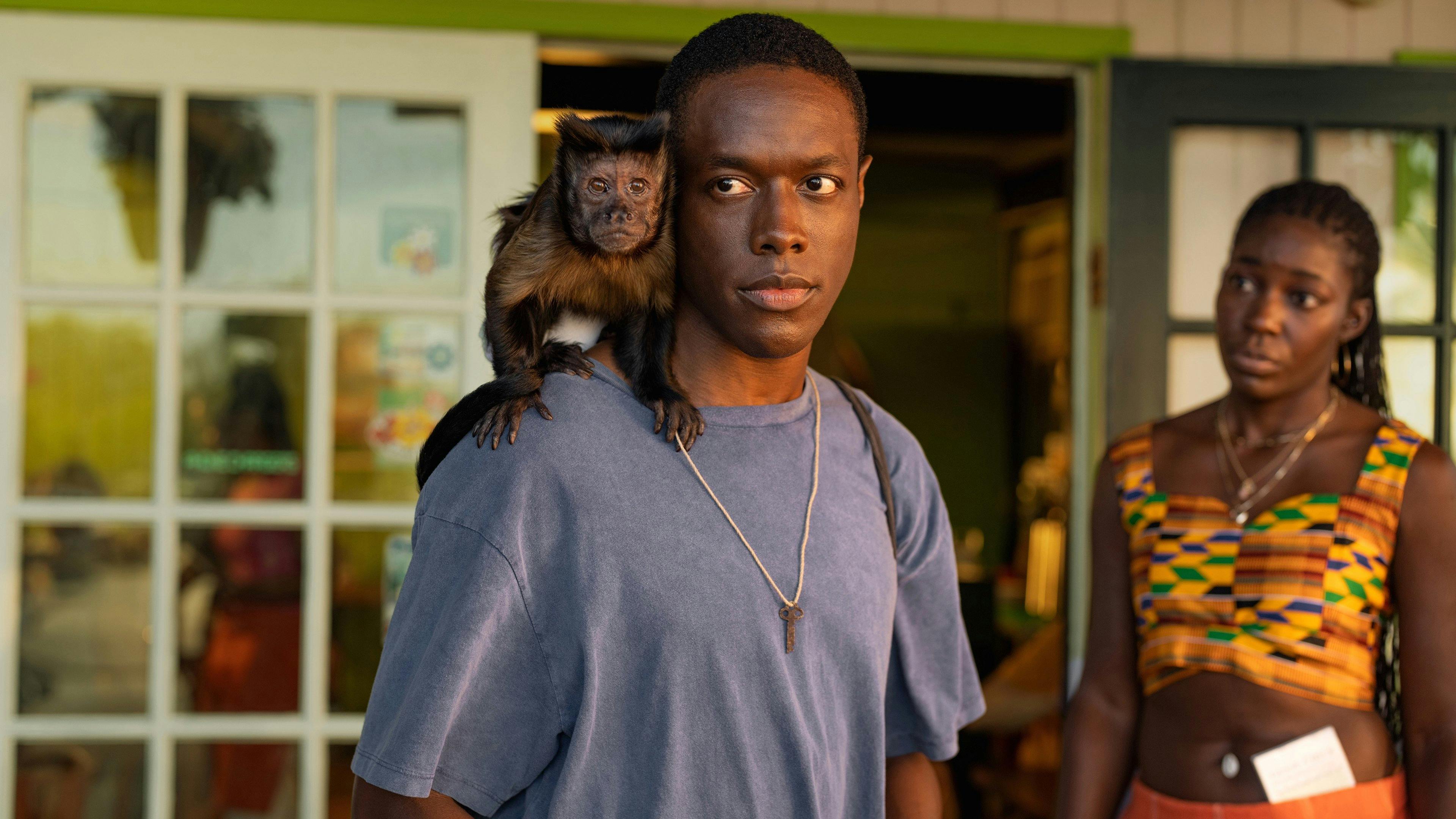 Bad Monkey - episódio 1x3