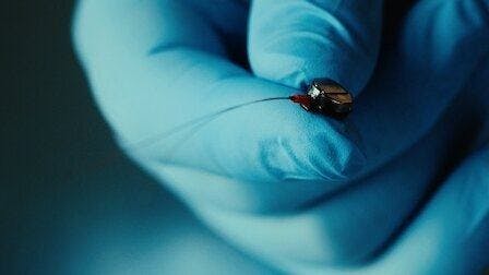 O Arsenal dos Espiões - episódio 1x4