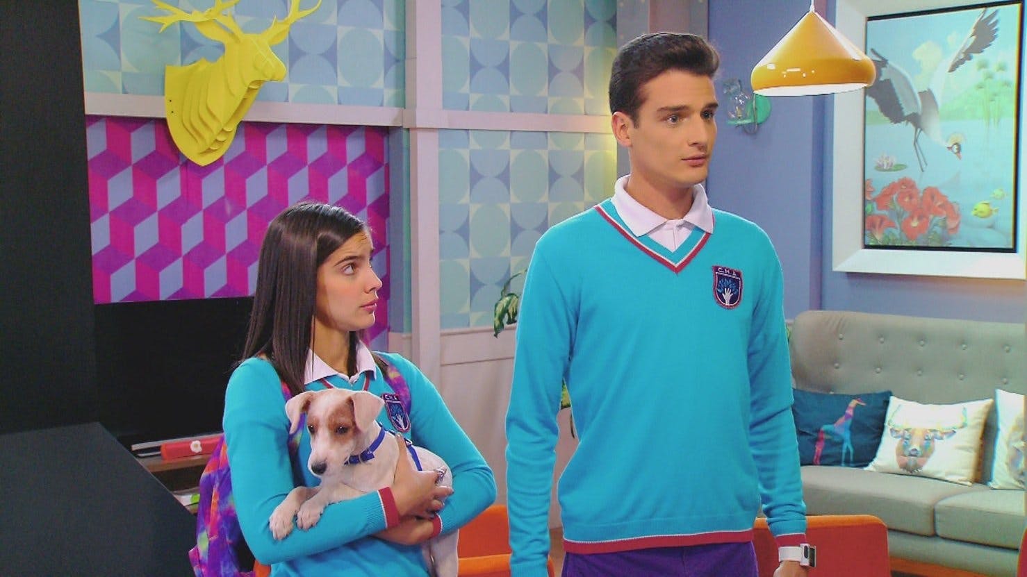 Eu Sou Franky - episódio 1x49