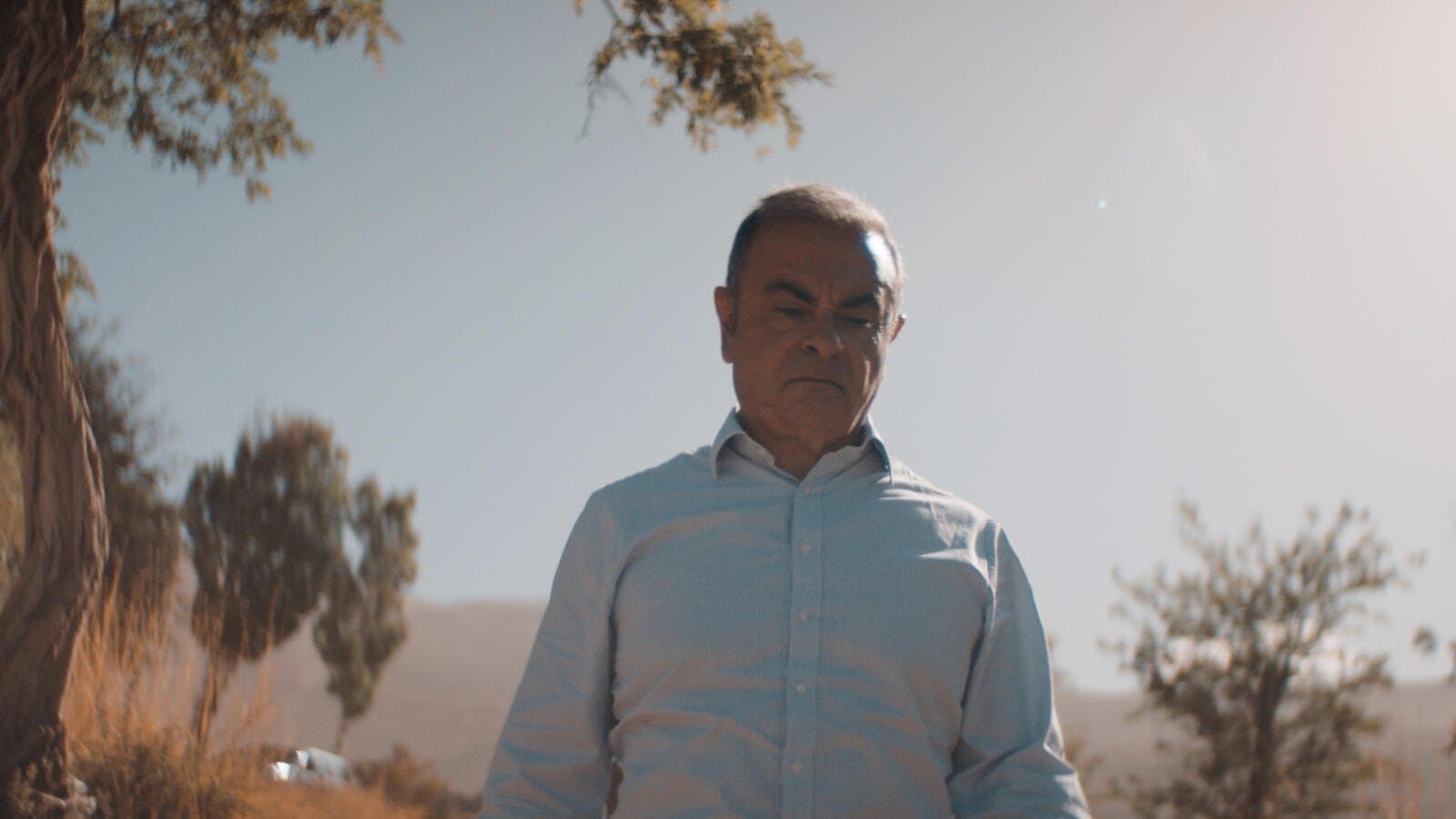 Carlos Ghosn: O Último Voo backdrop